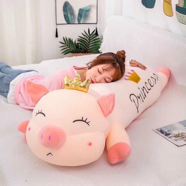 Heo hồng vương miện 1m