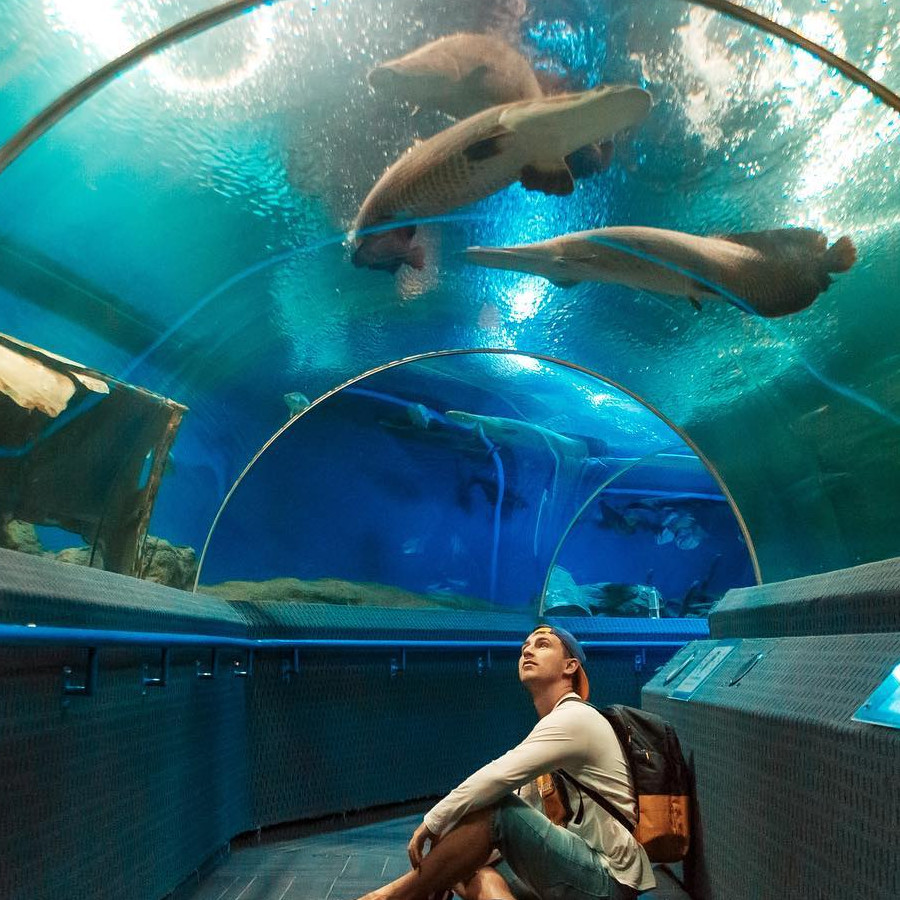 Nha Trang -Tour Vinpearl Land Nha Trang 1N - Venus Global