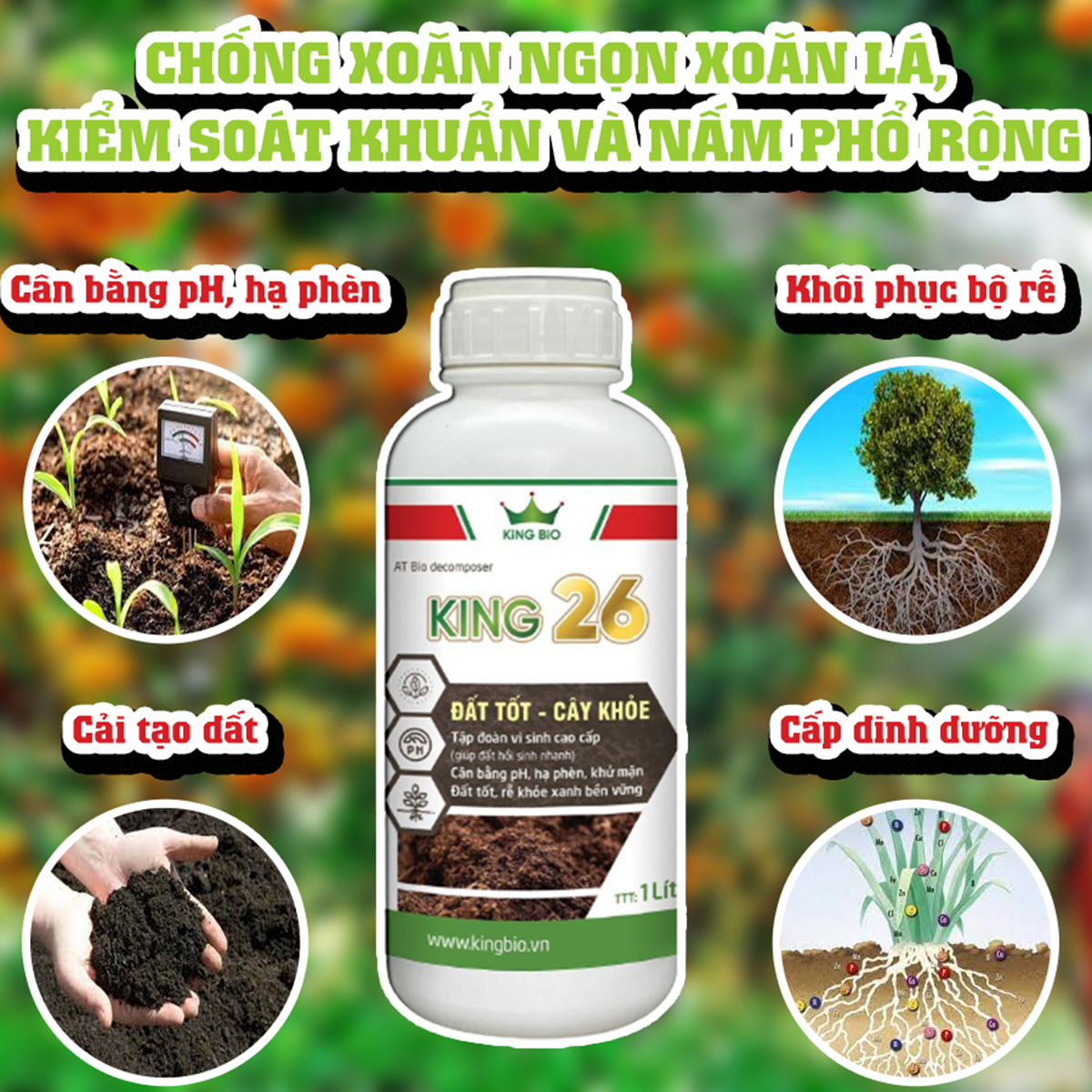 King 26 - Cải tạo đất, tăng độ phì, cân bằng pH khử mặn, hạ phèn kích thích ra rễ