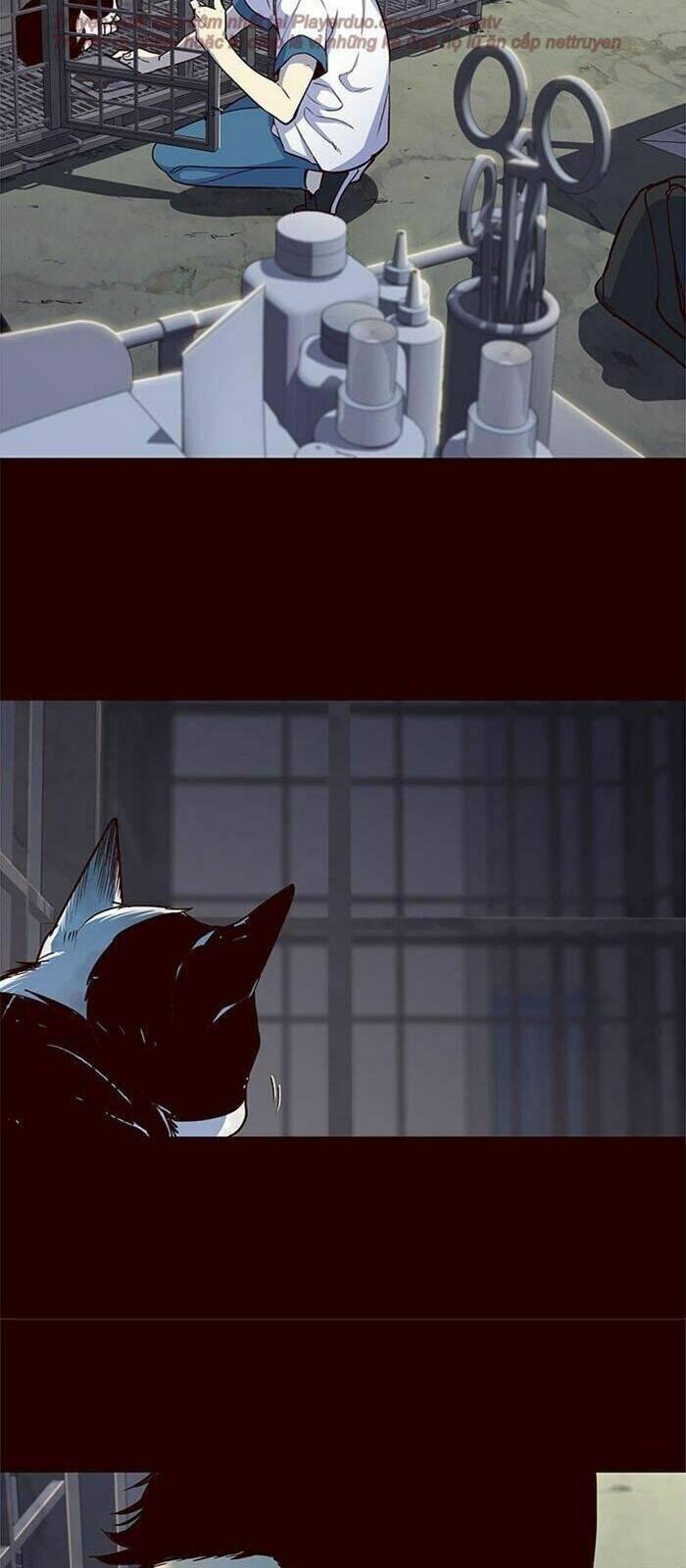 biến thân thành mèo chapter 36 26