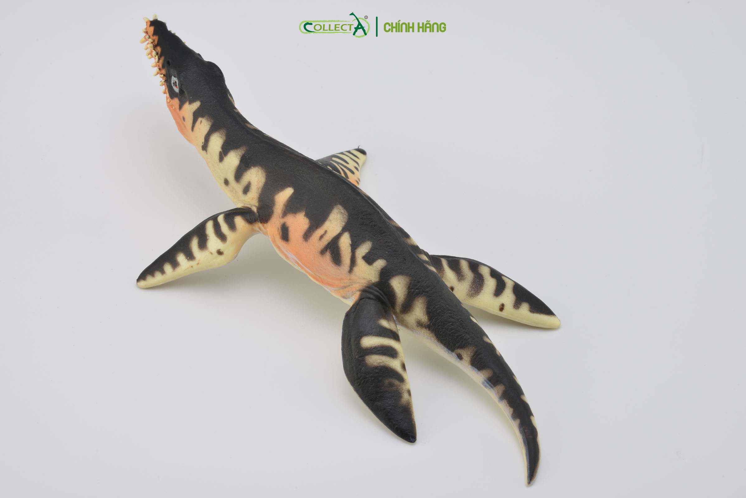 Mô hình thu nhỏ: Khủng Long Liopleurodon  - Liopleurodon, hiệu: CollectA, mã HS 9654170[88237] -  Chất liệu an toàn cho trẻ - Hàng chính hãng