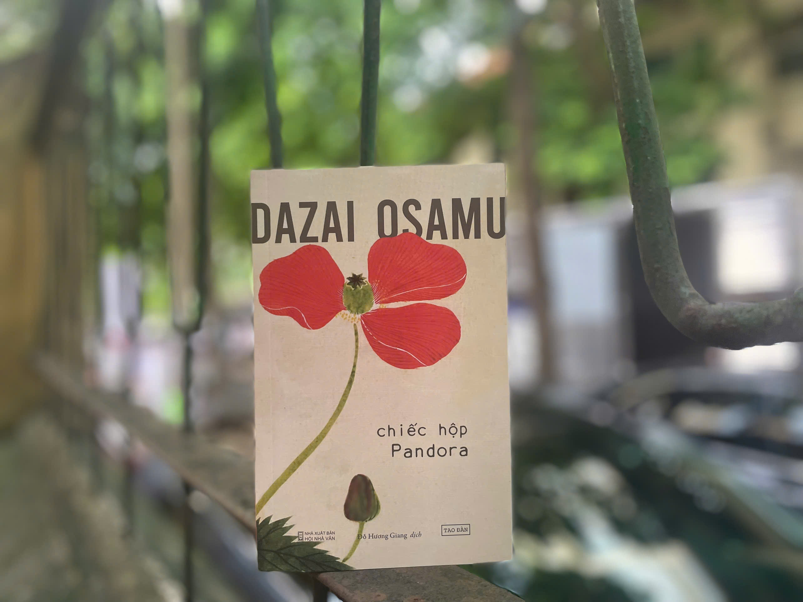 [Sách] Chiếc Hộp Pandora (TB 2024) - Dazai Osamu - Sách Tao Đàn