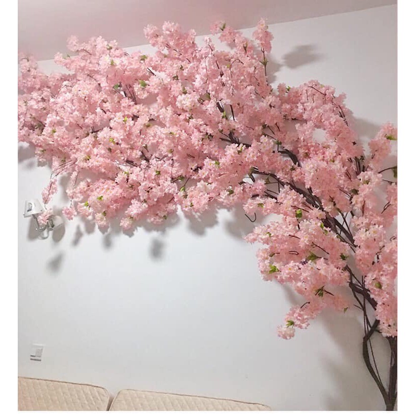 50 cành hoa anh đào bông xù