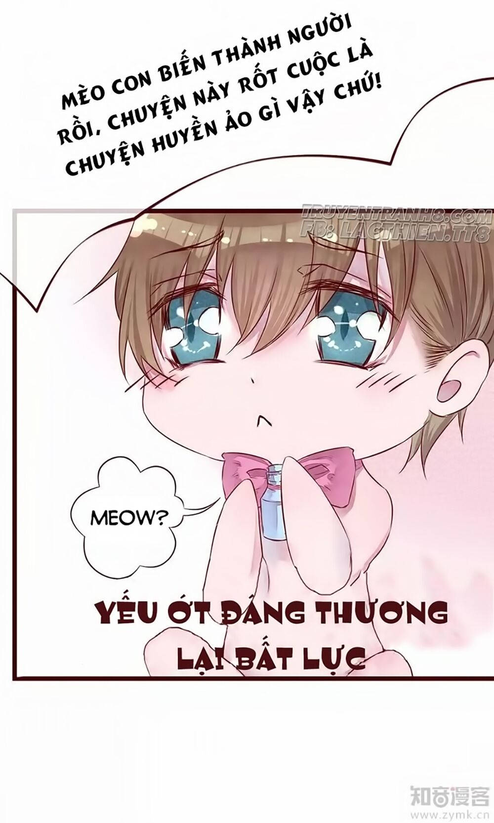 đào tạo nuôi dưỡng bạn trai mèo chapter 3 32