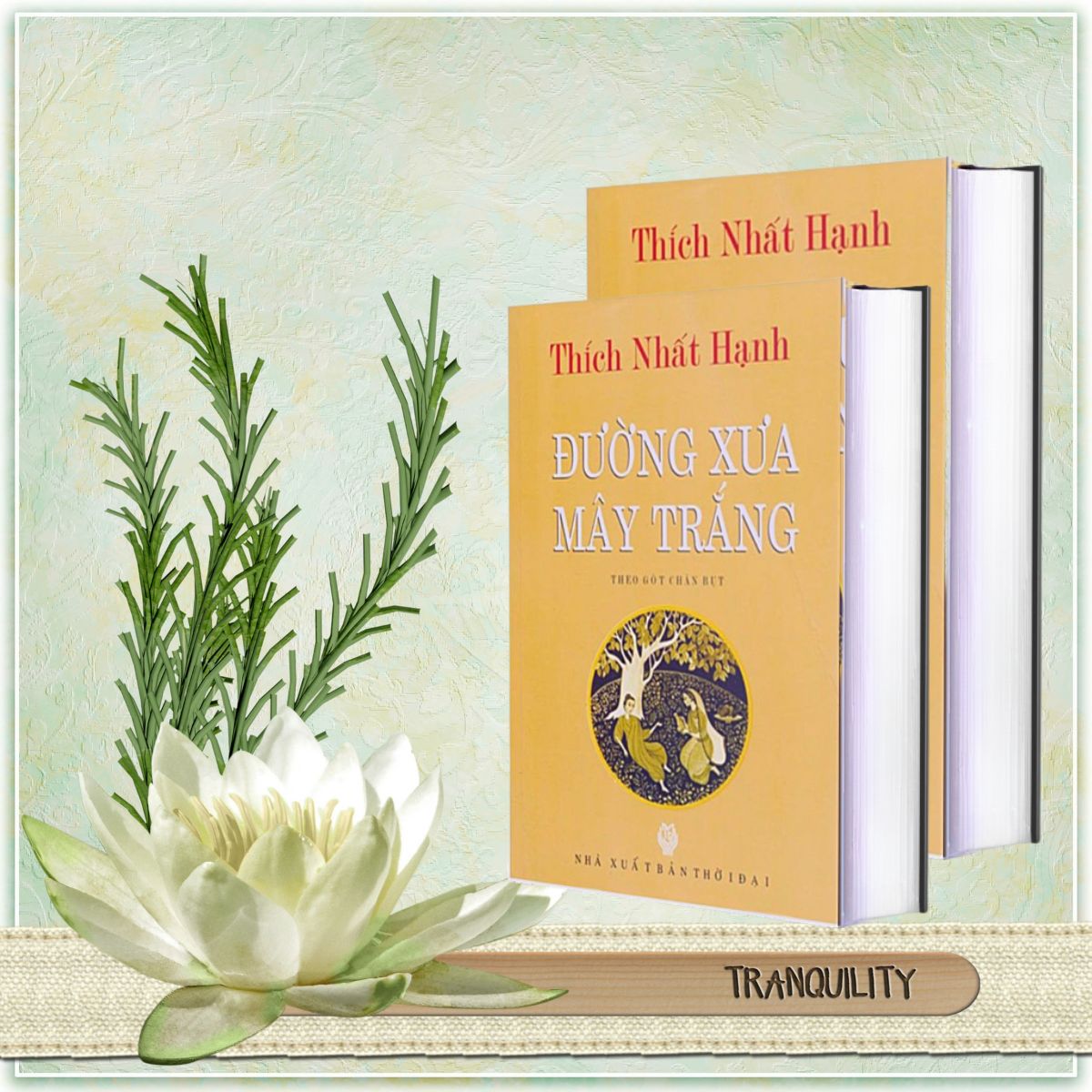 Đường Xưa Mây Trắng - Theo gót chân bụt