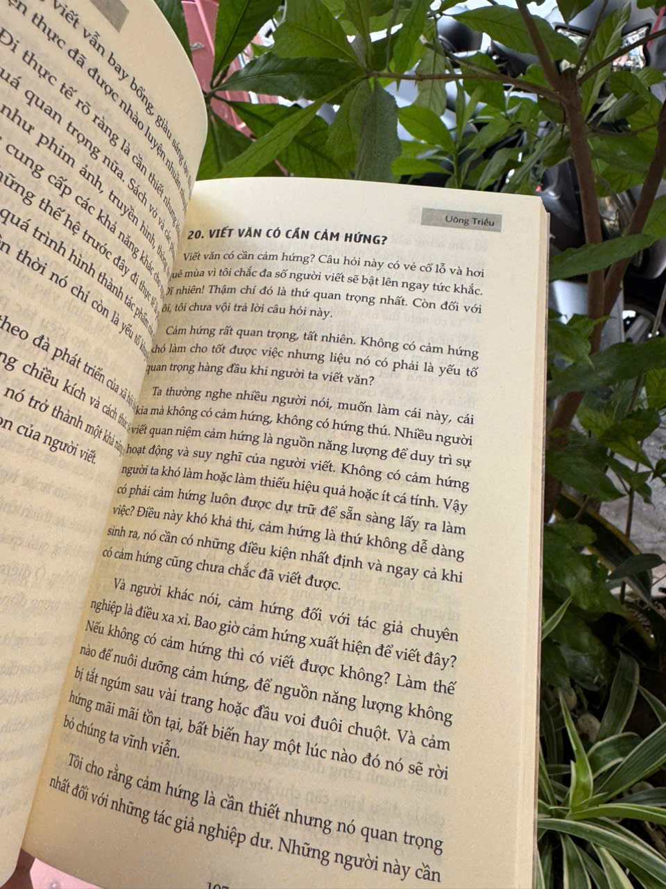 NGHỀ VIẾT VĂN - Uông Triều - Trần Lê Books – Nxb Văn Học
