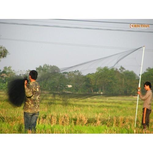 Lưới bẫy chim chào mào, khuyên dài 50m, Chiều cao: 5m chưa thu túi.