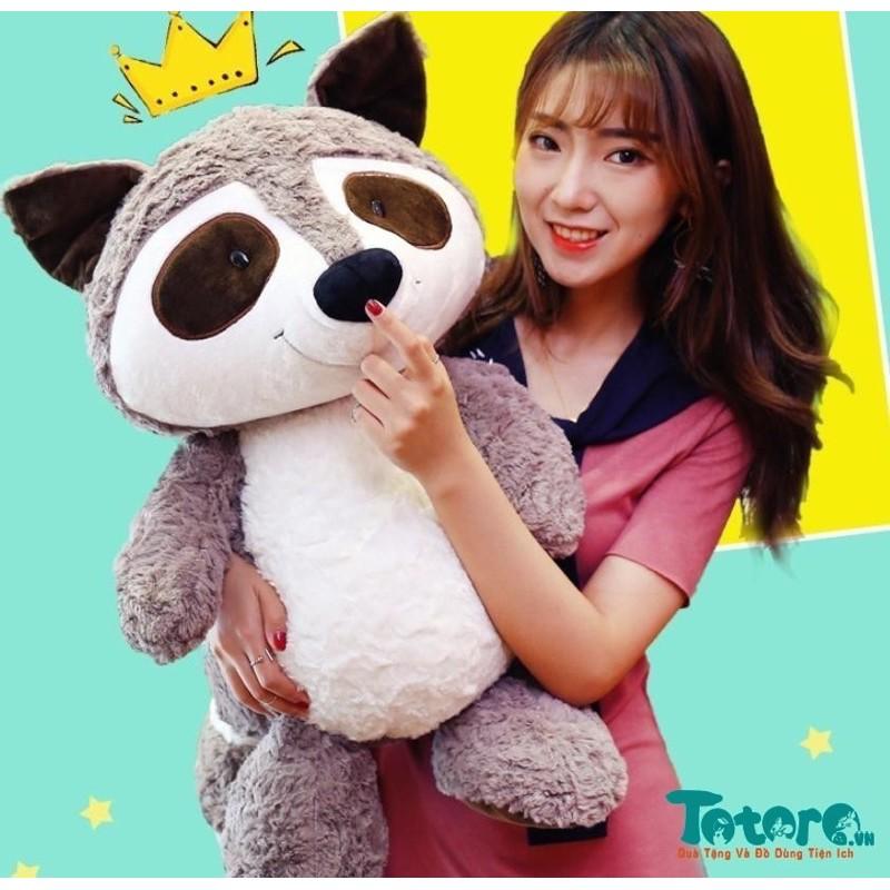 Gấu mèo lông xù