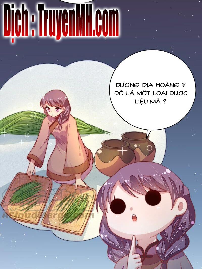 ngày nào thiếu soái cũng ghen chapter 219 2