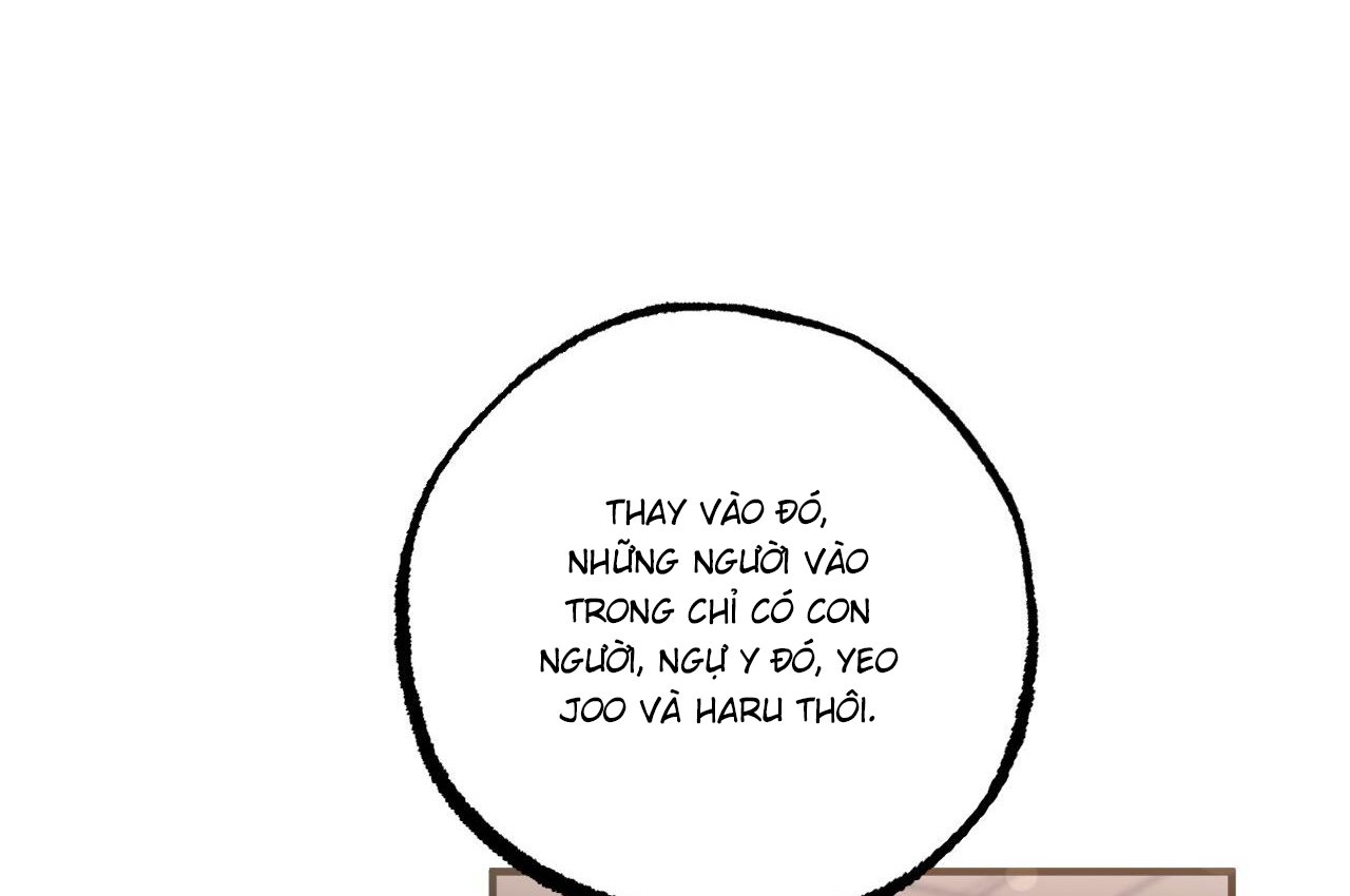 những chú thỏ của hapypy chapter 59 149