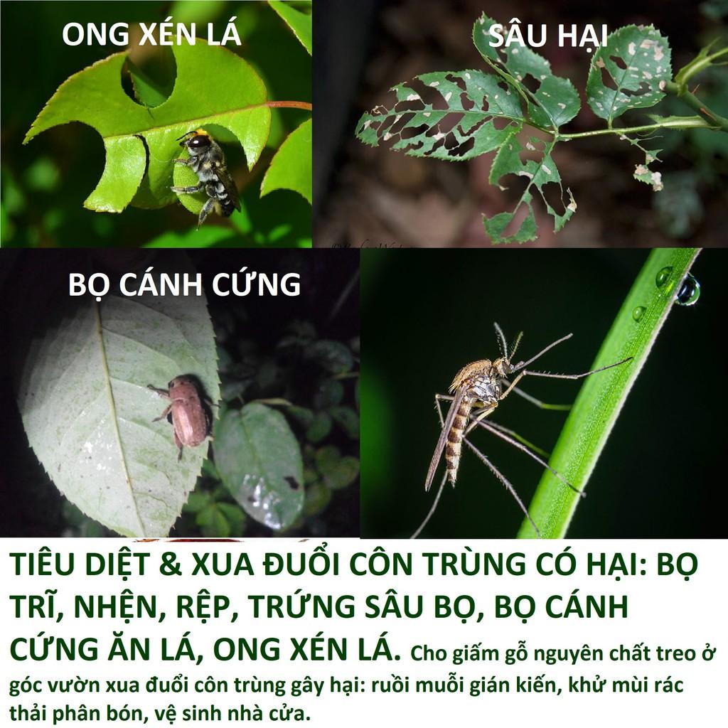 GIẤM GỖ sinh học Docneem phòng ngừa nấm lá, vi khuẩn, xua đuổi côn trùng và sâu bọ gây hại trên cây trồng