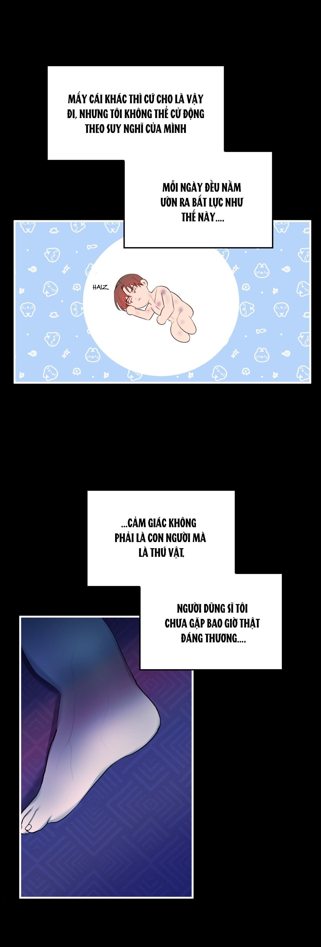 (np) độc thân muôn năm chapter 22 17