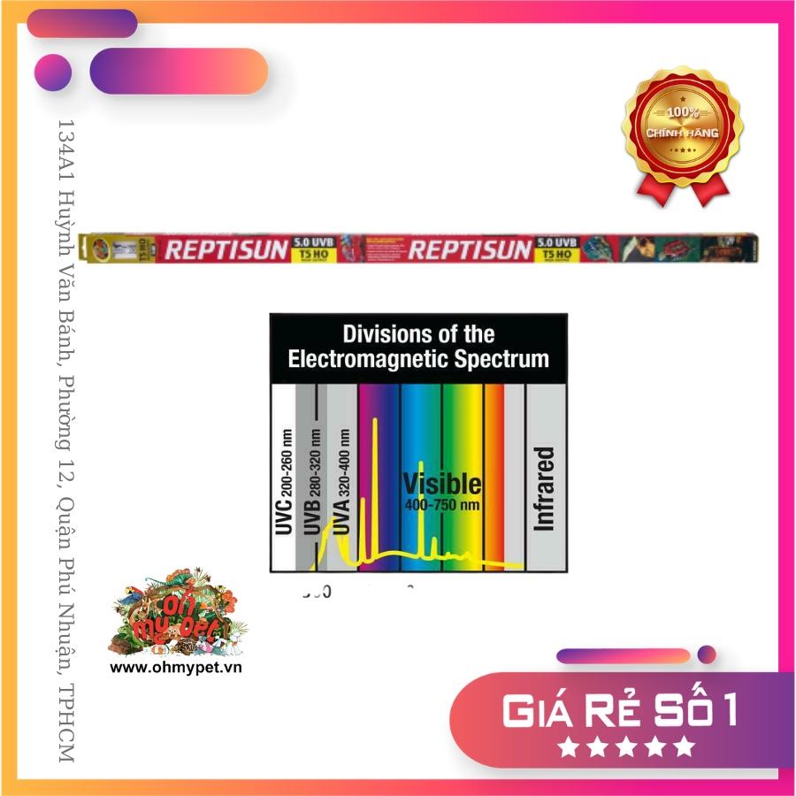 Đèn UVB Reptisun T5 HO 5.0 chất lượng cao, giúp thú cưng phát triển toàn diện.