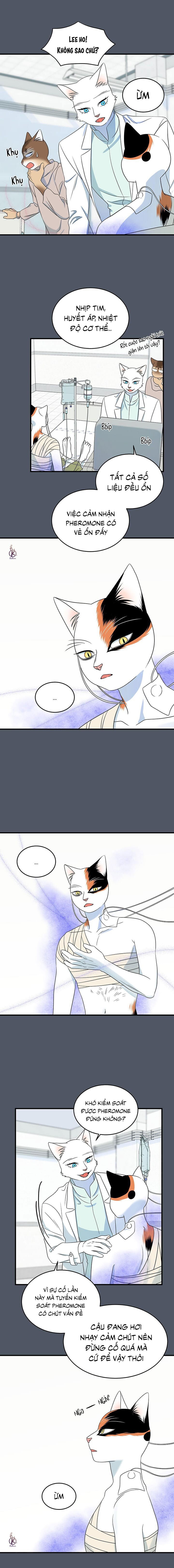 dự án xanh chapter 45 14