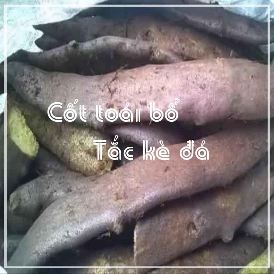 Tắc Kè Đá (Cốt Toái Bổ) khô 500gram
