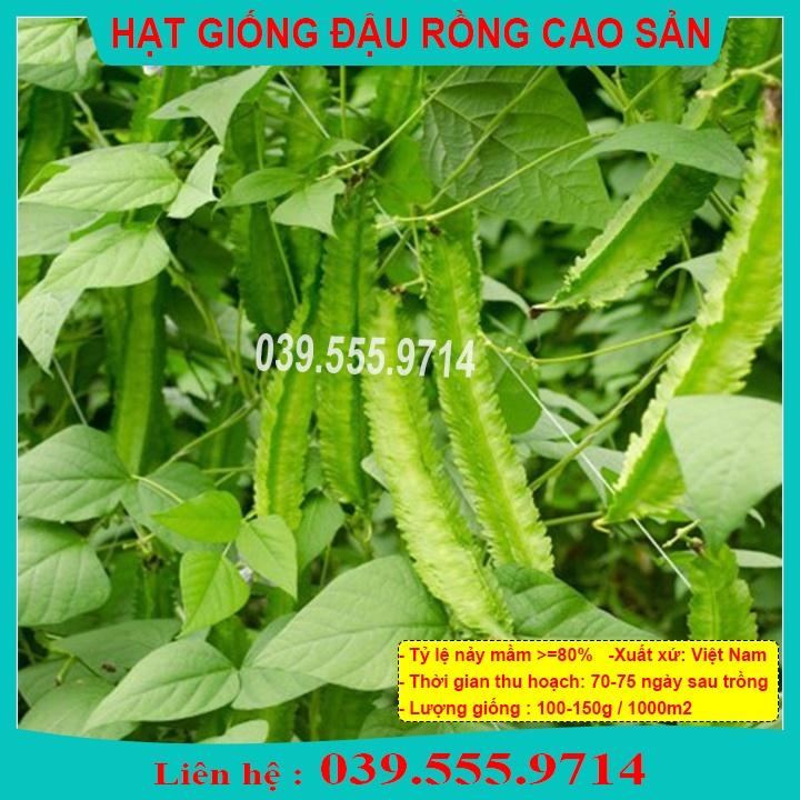 HẠT GIỐNG ĐẬU RỒNG TỨ QUÝ SIÊU QUẢ