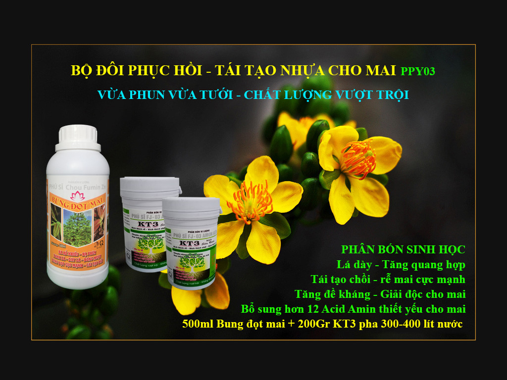 Bộ đôi Phấn bón sinh học Phục Hồi và Tái Tạo Nhựa cho cây Mai PPY03
