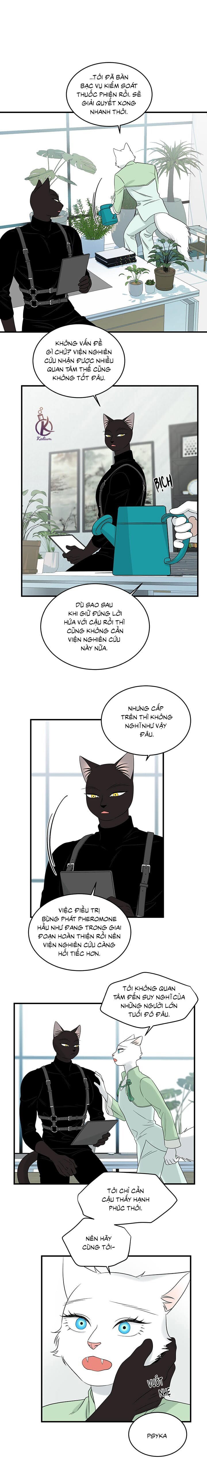 dự án xanh chapter 56 12