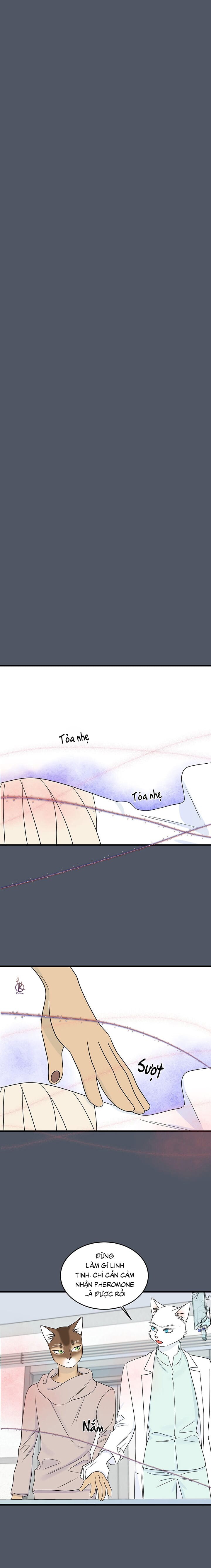 dự án xanh chapter 45 12