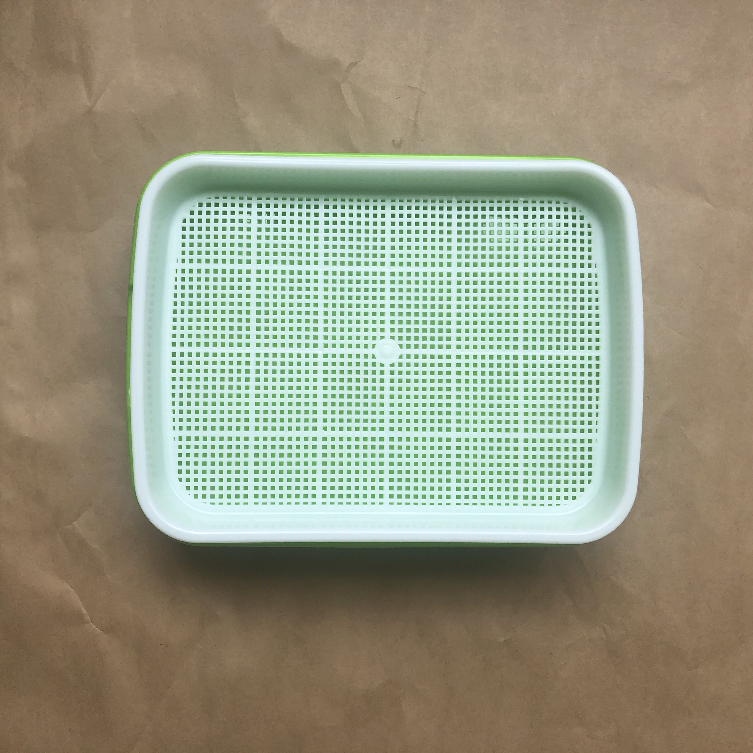 KHAY trồng rau mầm thủy canh hai lớp 34X25X5H - Xanh
