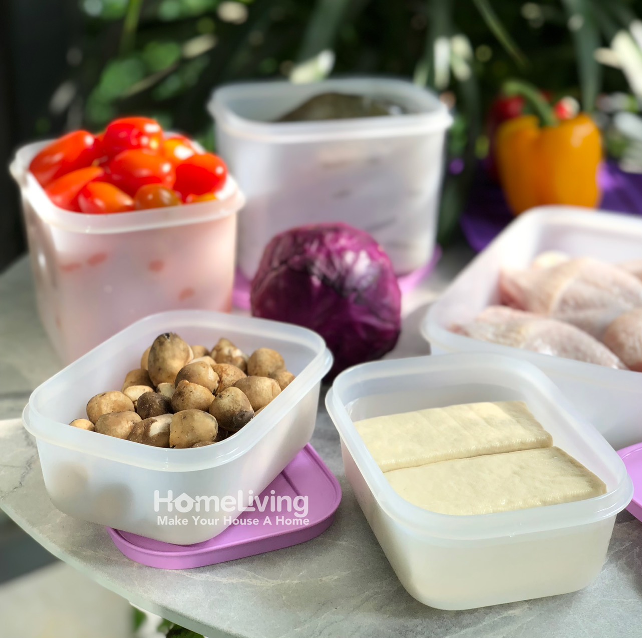 Bộ Trữ Đông Tupperware Freezermate Violet Set 6