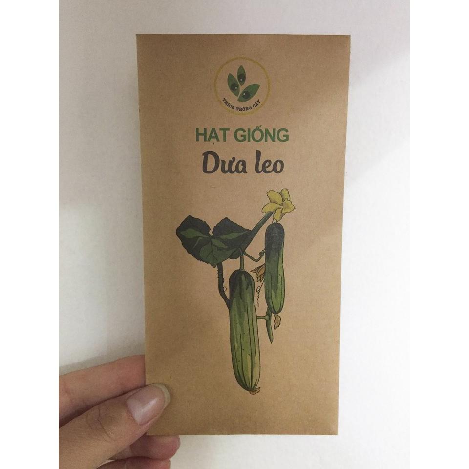 Hạt giống Dưa leo