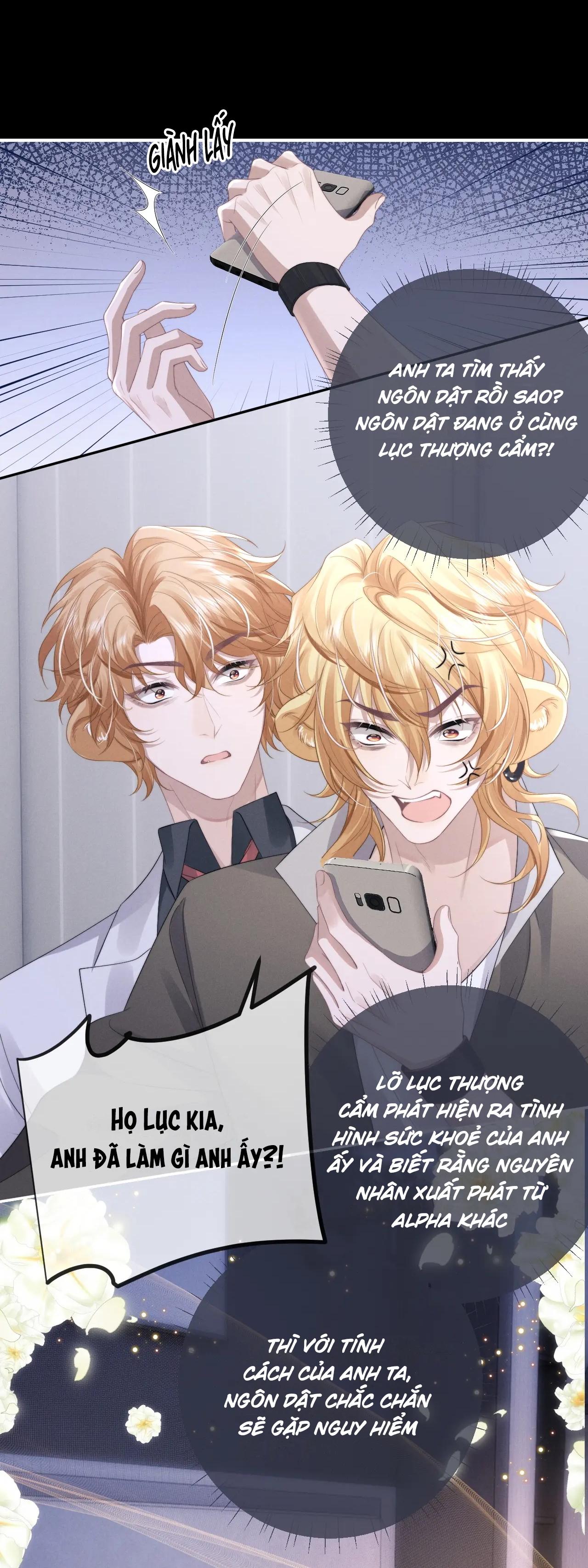 chấp sự thỏ tai cụp chapter 38 16