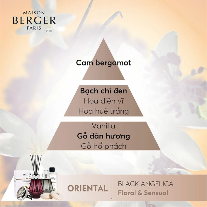 Maison Berger - Bộ tinh dầu xe hơi hương Black Angelica - 2 cái