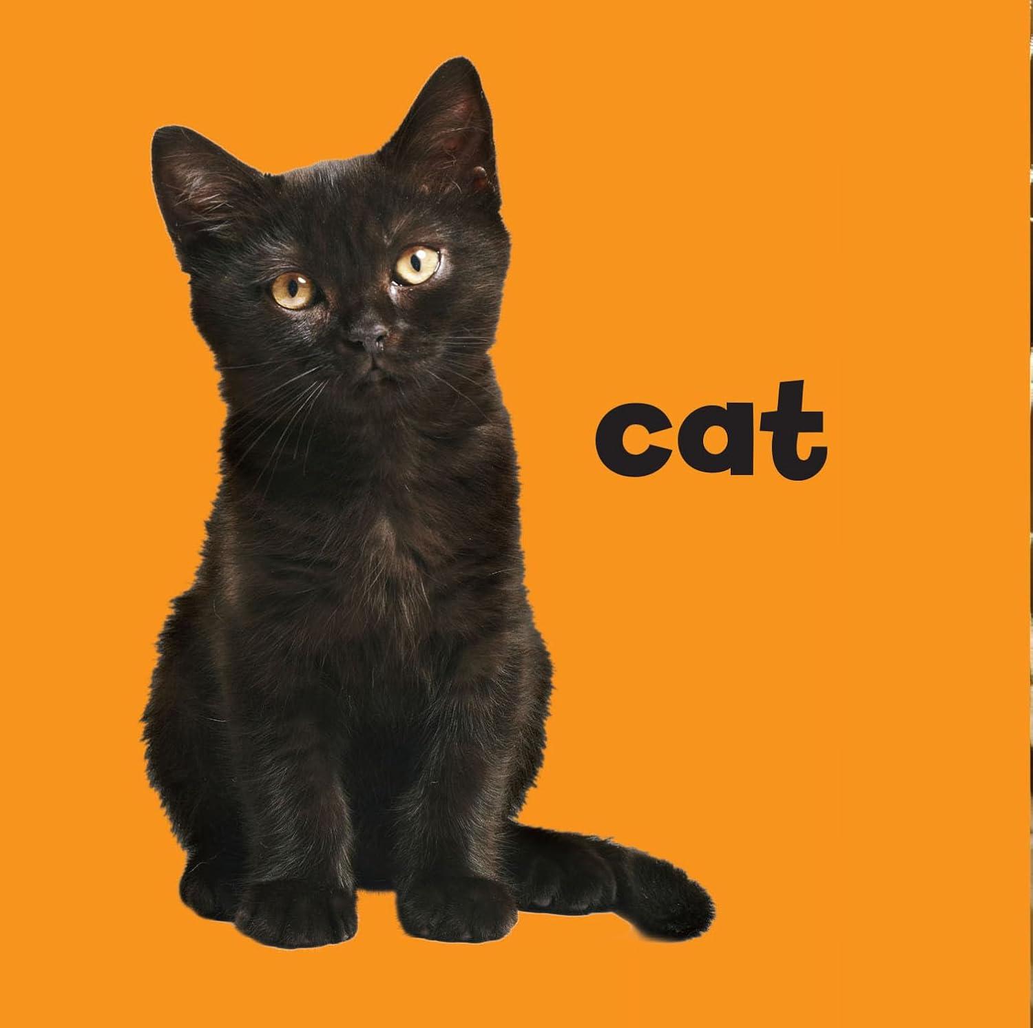 Sách ngoại văn: My First Trick Or Treat