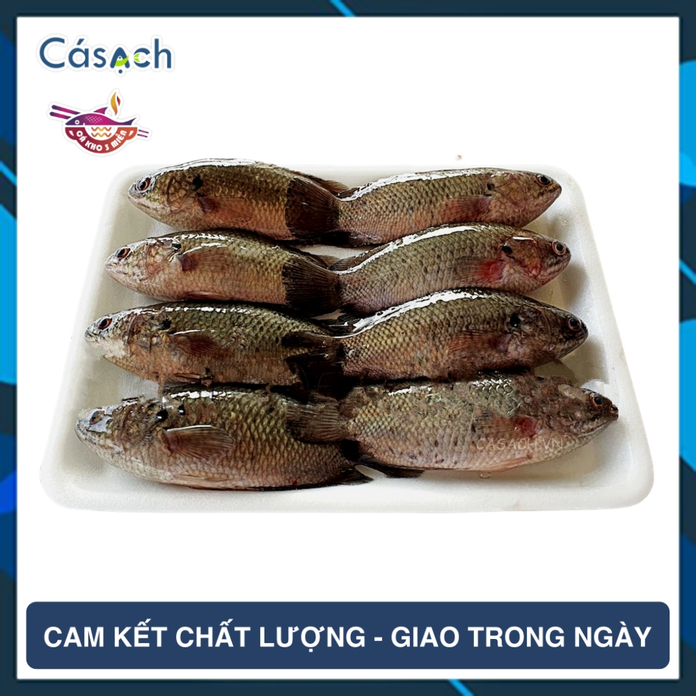 Cá rô bí đồng nguyên con - 200 g