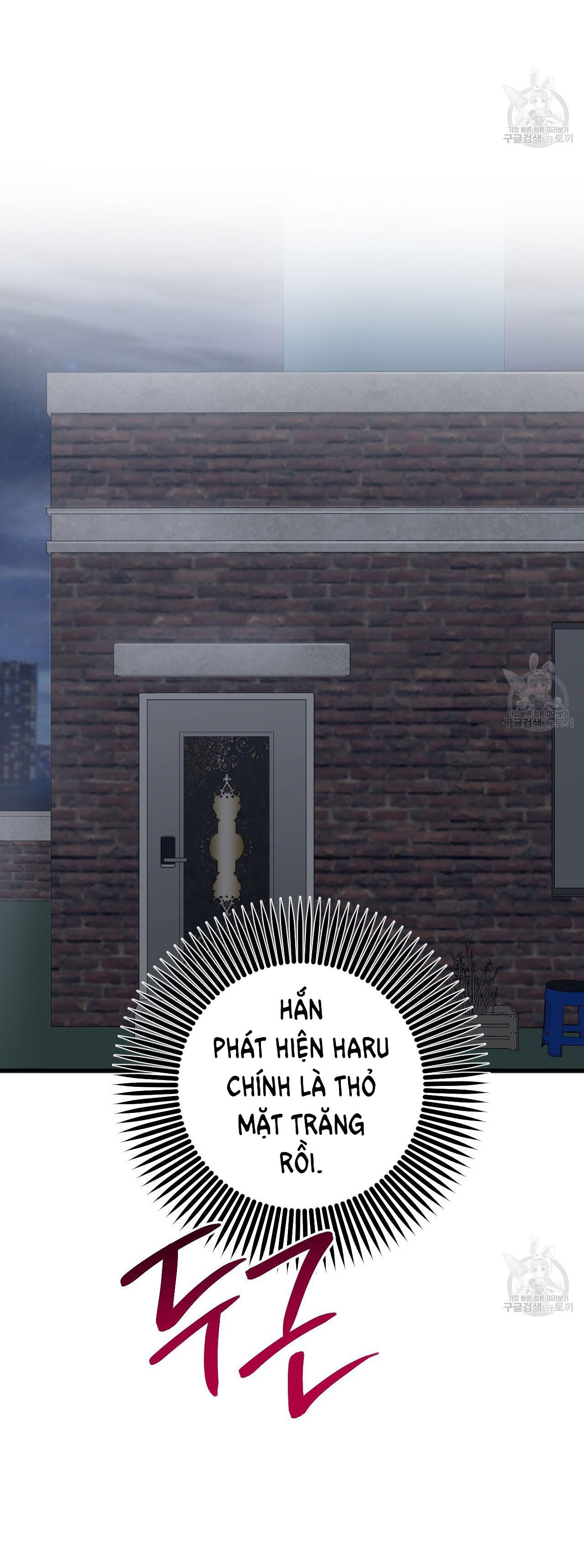 những chú thỏ của hapypy chapter 59.2 31