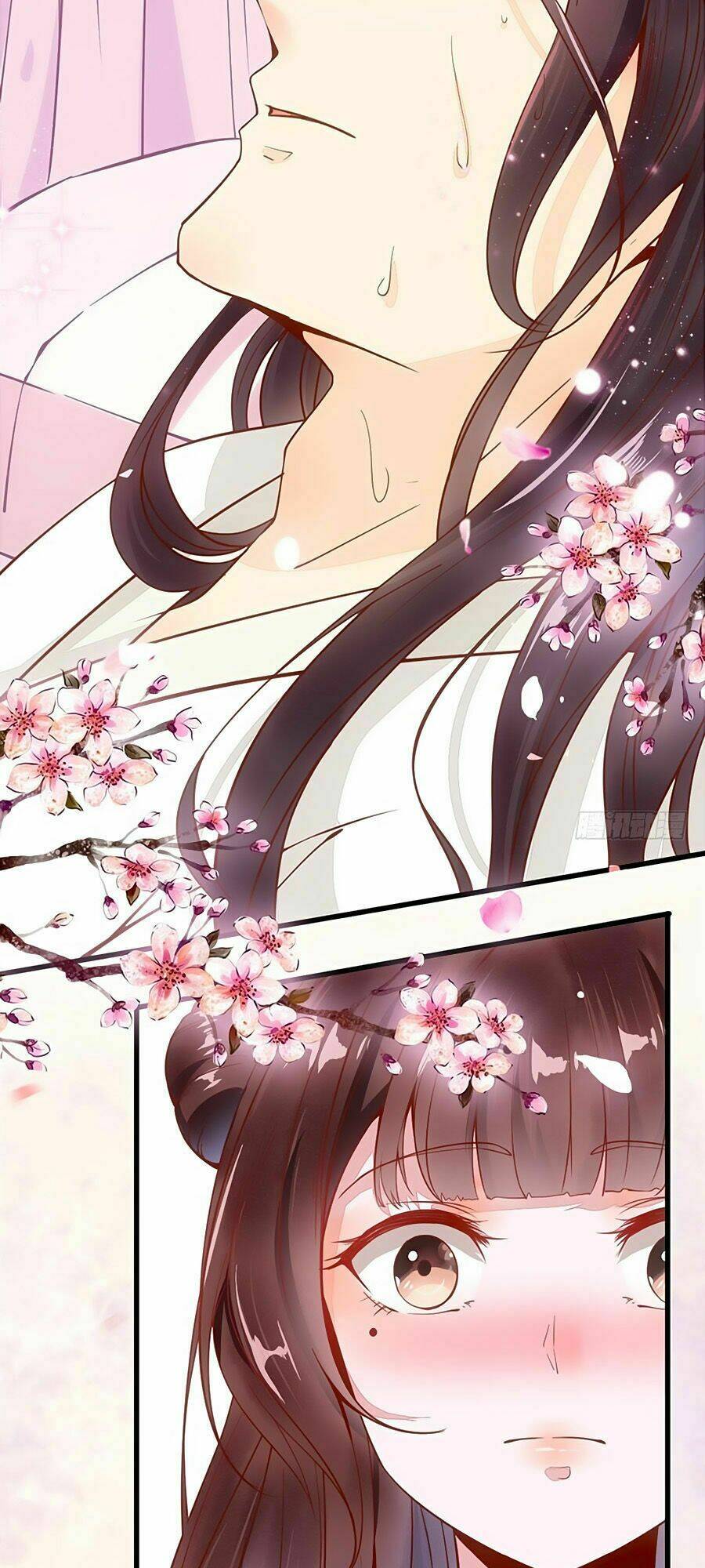 thần y khí nữ: ngự thú cuồng phi của quỷ đế chapter 35 10