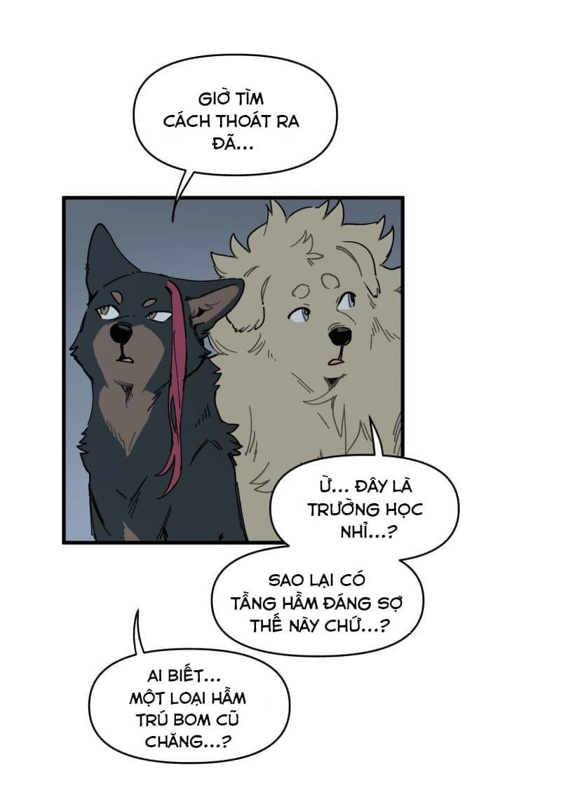 lumine - cội nguồn ánh sáng chapter 145 26