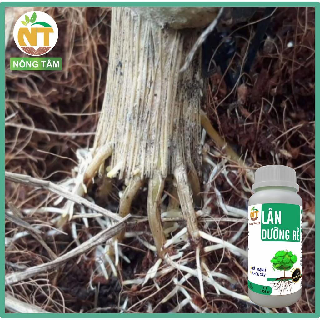 Phân bón siêu dưỡng rễ, kích rễ, chuyên dùng cho rau màu, cây ăn quả, chai 1000ml