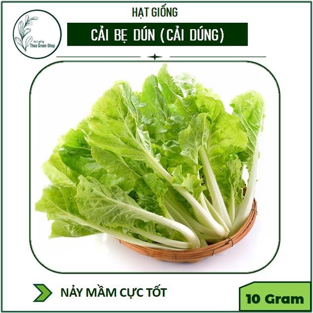 HẠT GIỐNG CẢI BẸ DÚN THÁI LAN