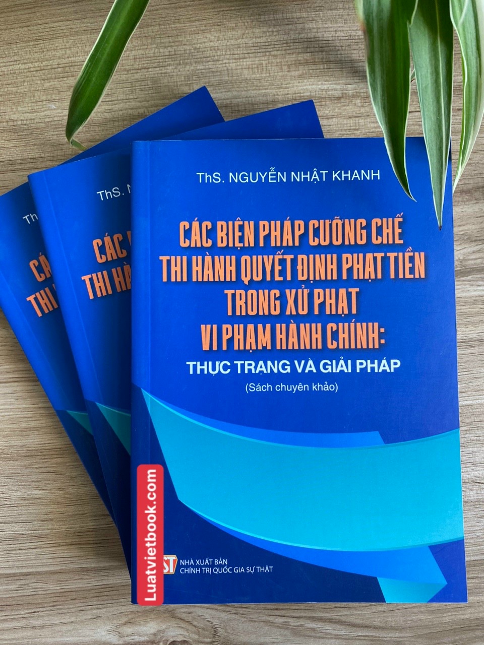 Các Biện Pháp Cưỡng Chế Thi Hành Quyết Định Phạt Tiền Trong Xử Phạt Vi Phạm Hành Chính Thực Trạng và Giải Pháp