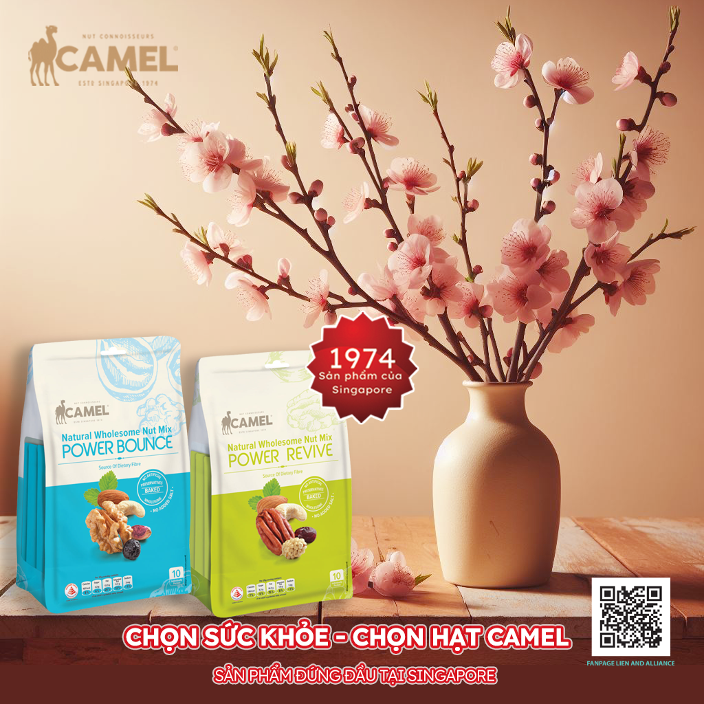 HỖN HỢP HẠT NGUYÊN CHẤT TỰ NHIÊN CAMEL POWER BOUNCE - SINGAPORE