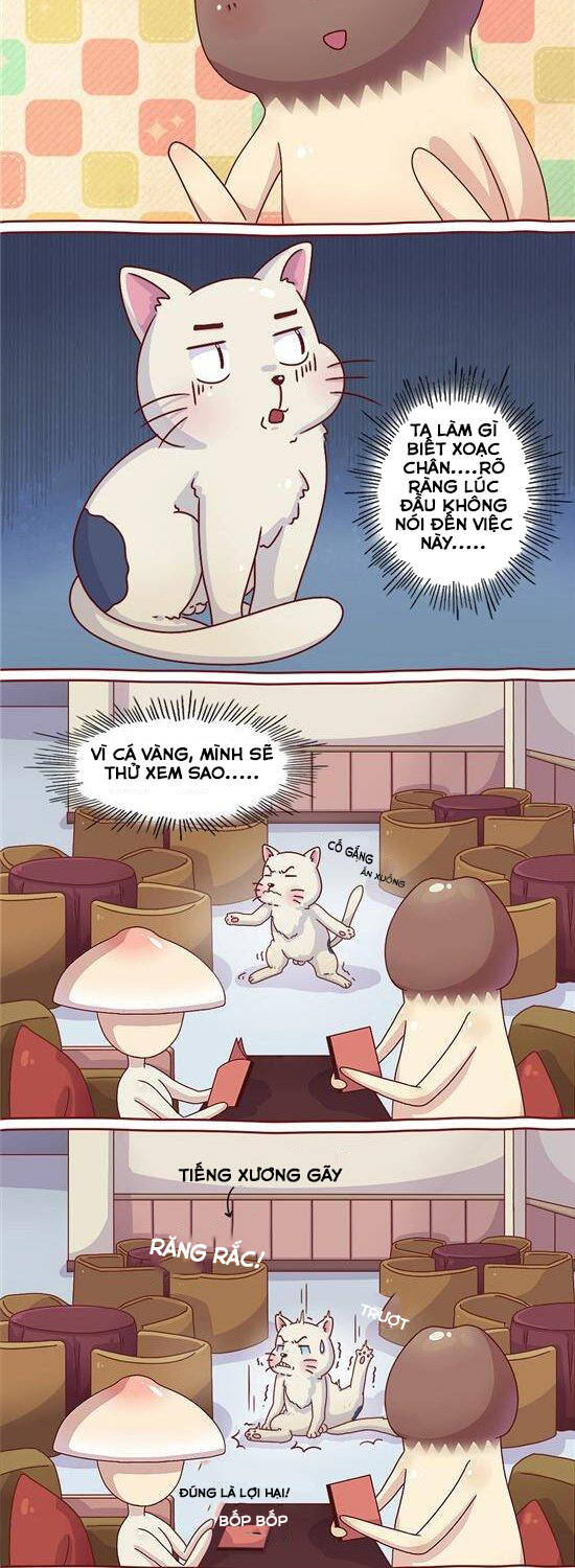 cây nấm kì khả chapter 25 5