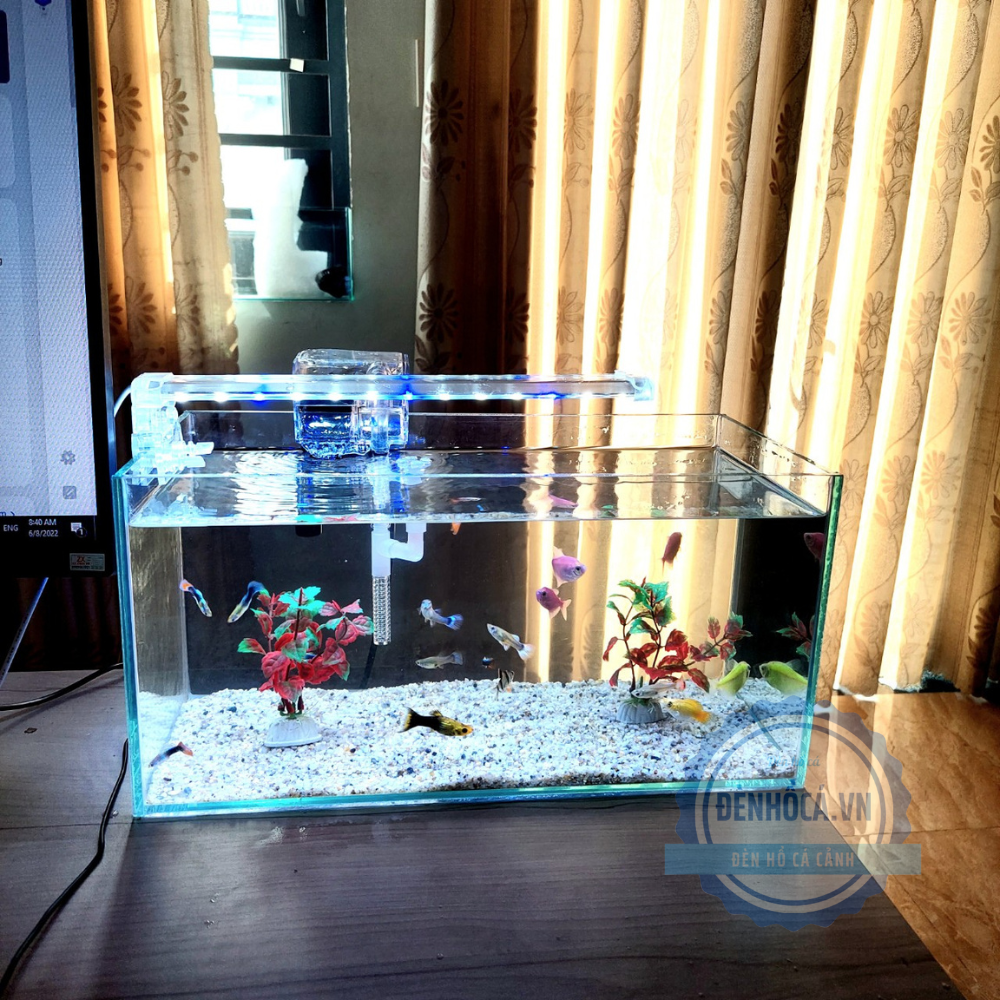 Bể cá mini 40cm D30 FULL COMBO: Hồ + lọc + đèn + phụ kiện