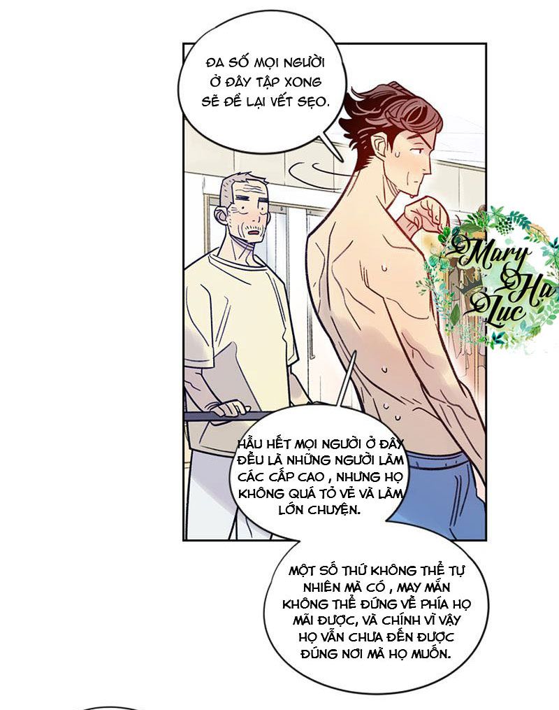 tôi muốn bay như một con bướm chapter 11 48