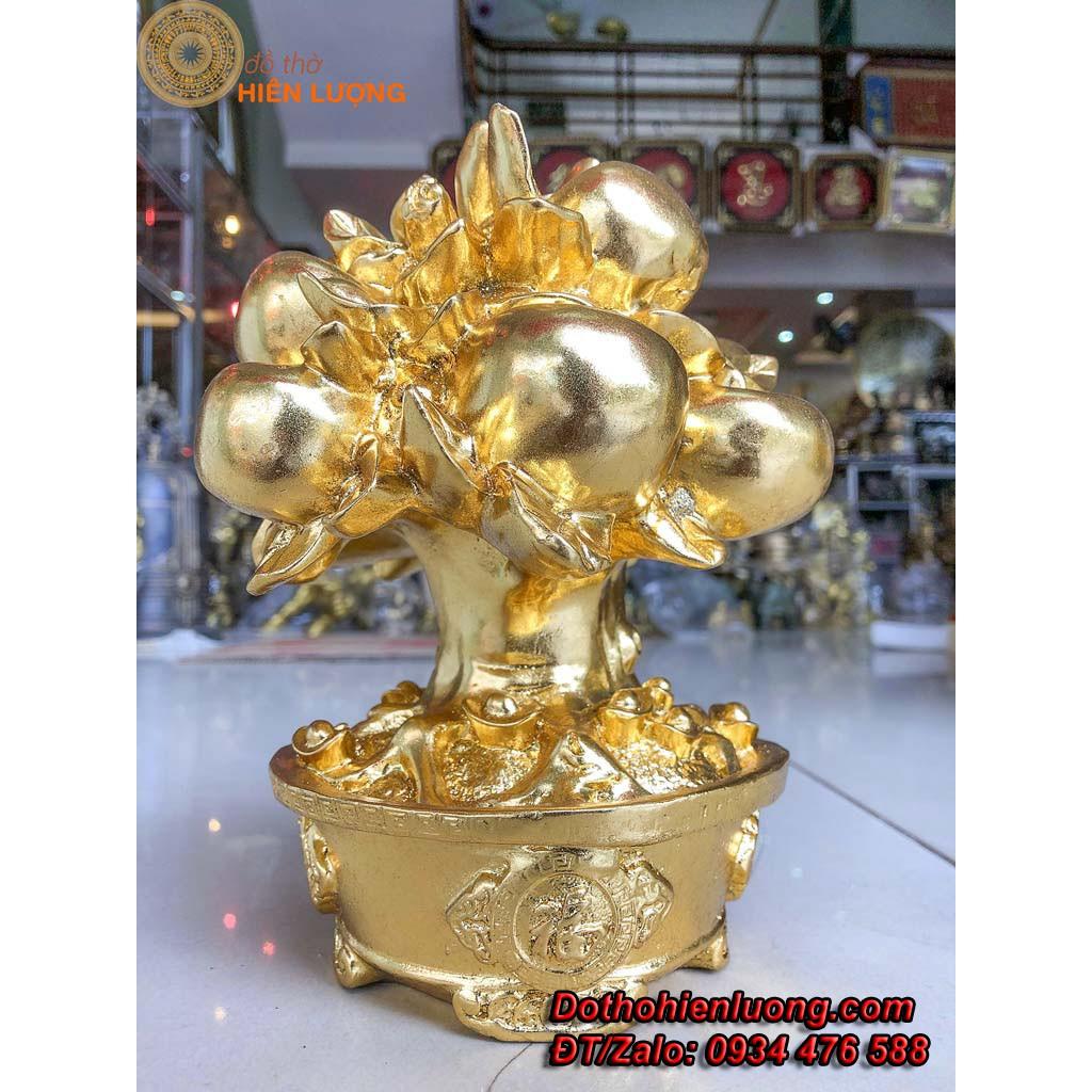 Cây Hồng Phúc Tài Lộc Mạ Vàng - Vật Phẩm Phong Thủy