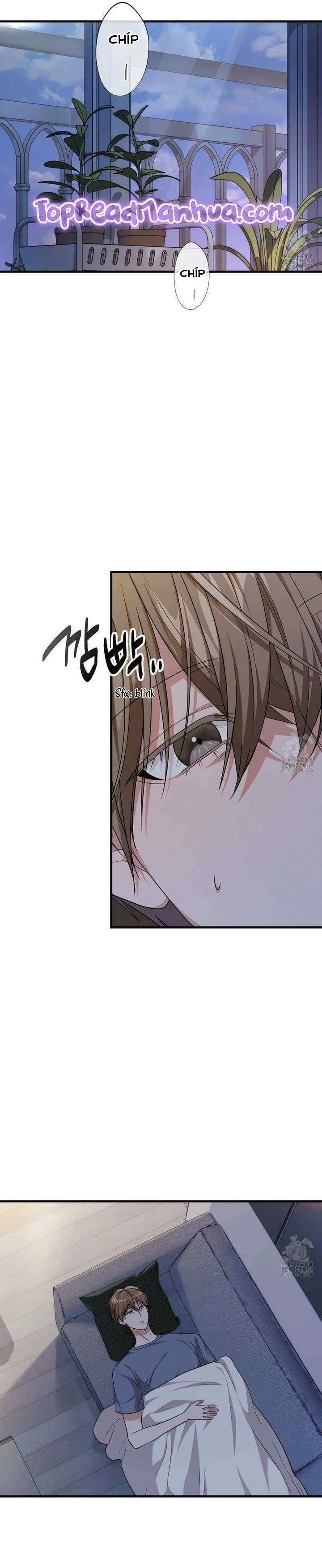 thành viên của hội là hàng xóm bên cạnh chapter 52 12