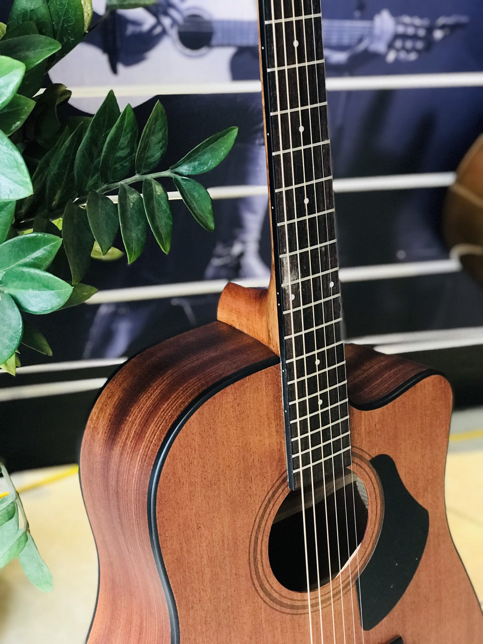 Đàn Guitar Acoustic Rosen G15