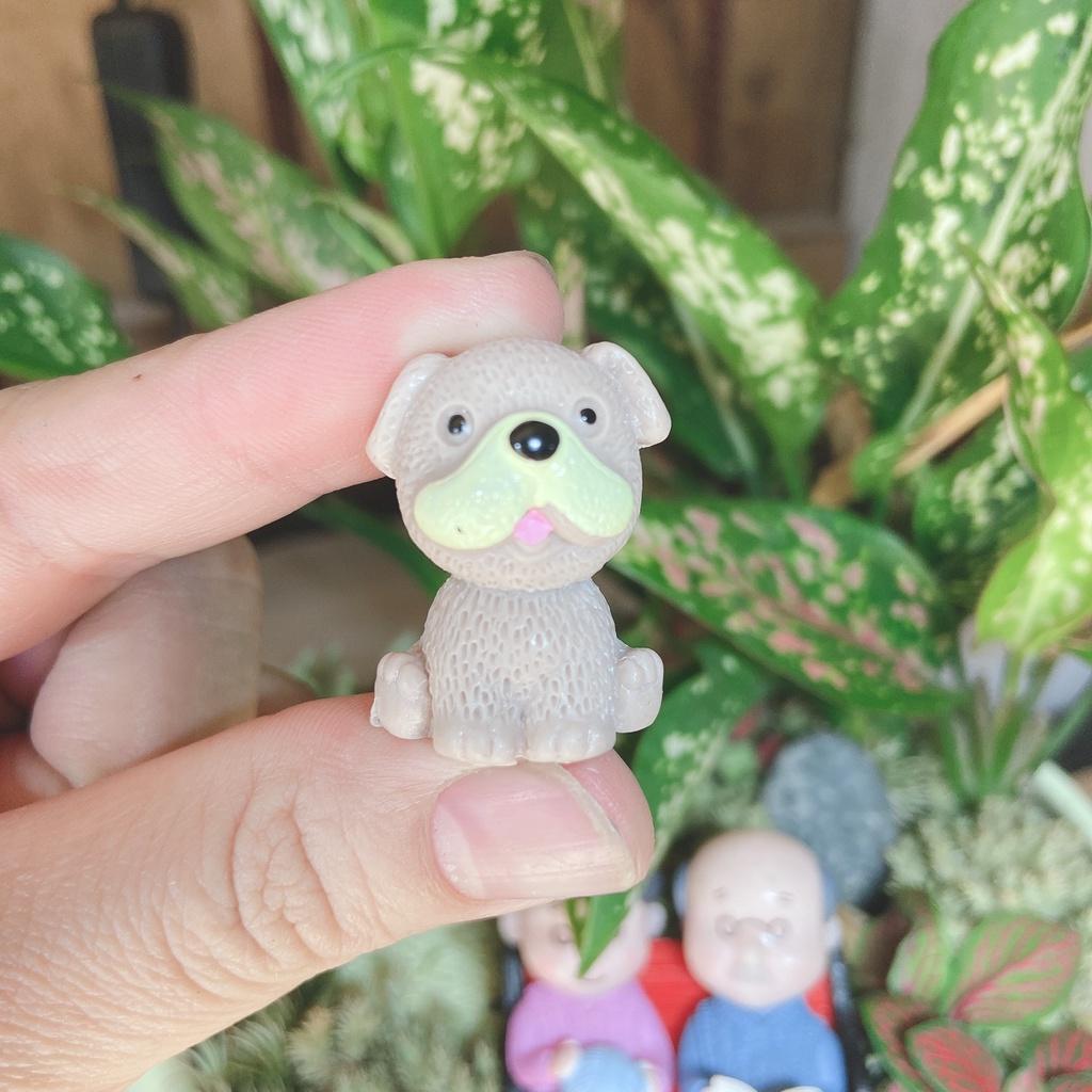 Tiểu cảnh mini ️ Mô hình chó đáng yêu nhiều loại trang trí tiểu cảnh, sen đá, sân vườn, terrarium