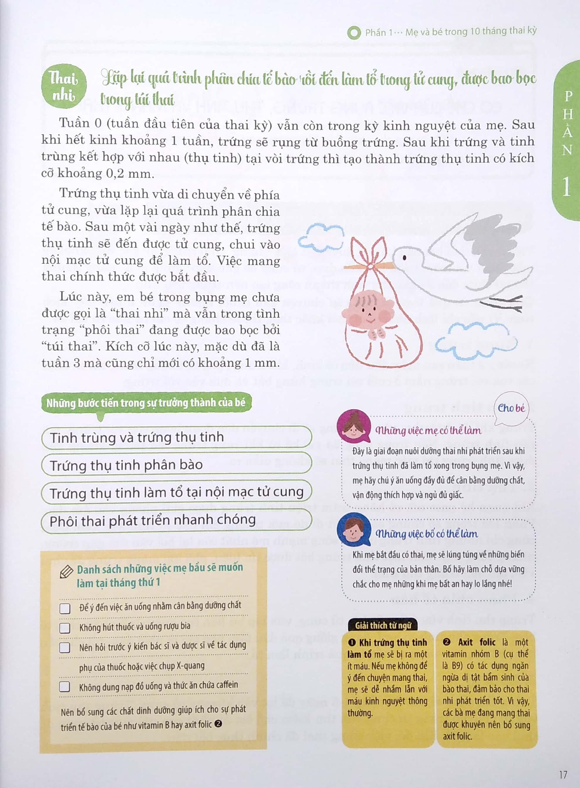 Sách - Lần Đầu Làm Mẹ (Tái Bản 2025) 7