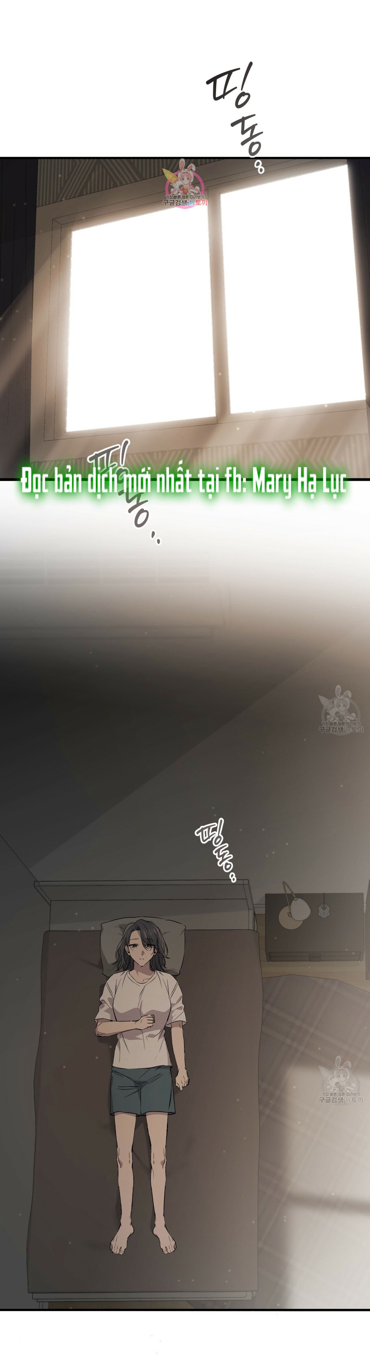 những chú thỏ của hapypy chapter 56.1 1