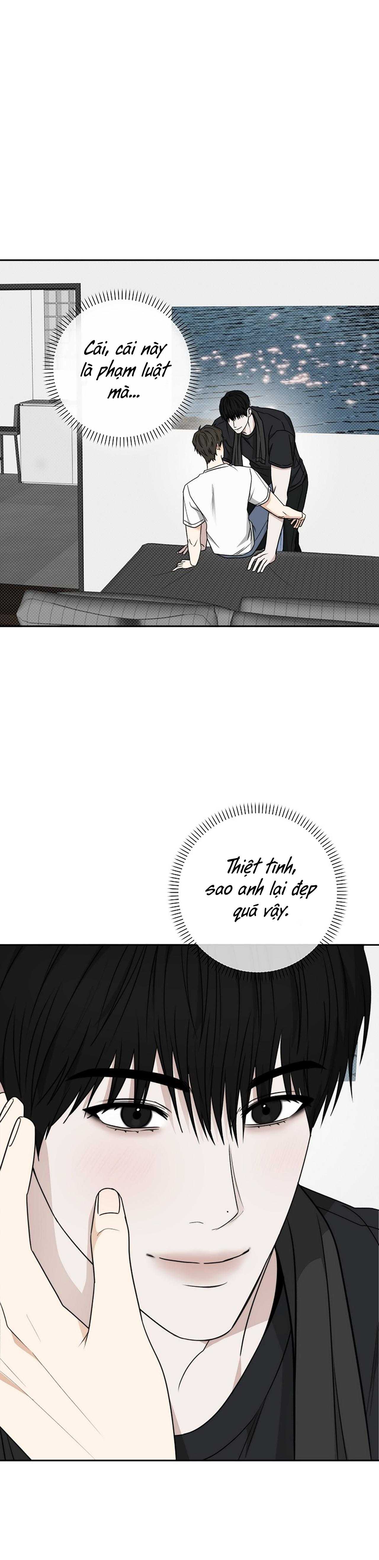 những nàng công chúa bị nguyền rủa chapter 31 15