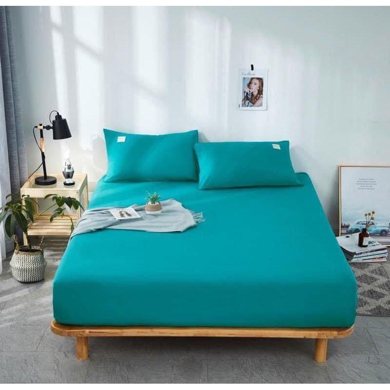 Sét ga gối cottong tici 3 món đủ kích thước