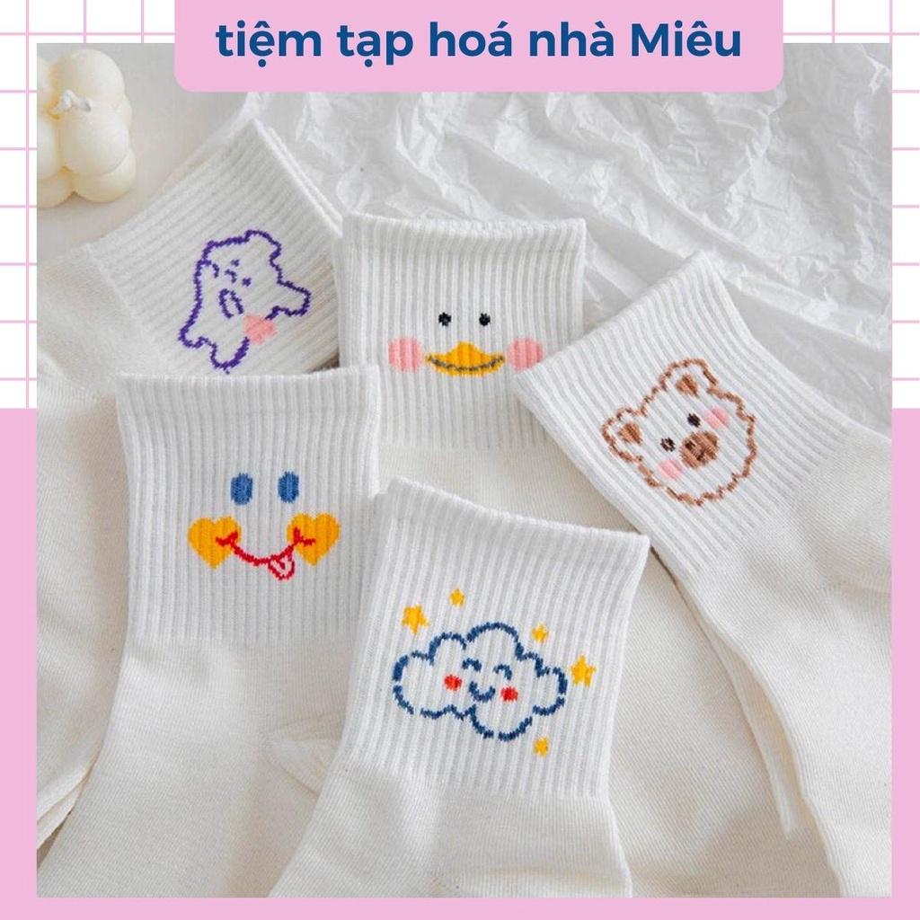 Tất nữ cổ ngắn chất liệu cotton co giãn bốn chiều, set vớ dễ thương - tiệm tạp hoá nhà Miêu