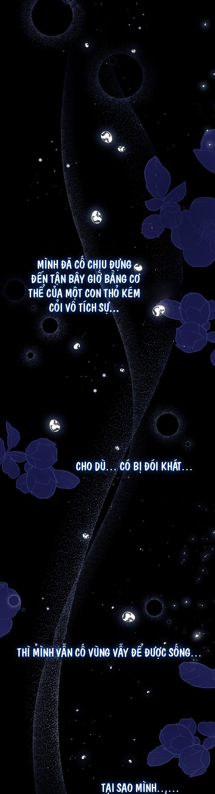 mối liên kết giữa báo đen và bé thỏ chapter 39.1 10